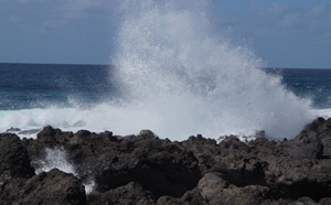 Infos zu Lanzarote